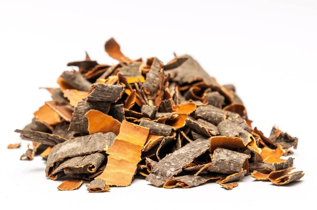 Bark Osina